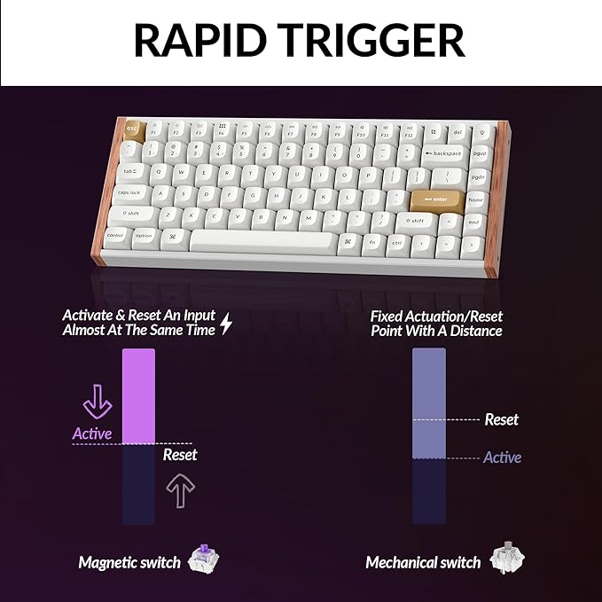 Keychron K2 HE Rapid Trigger Wireless Custom Mechanical Keyboard with Hall Effect Gateron Double-Rail Magnetic Switch, 2.4 GHz QMK Bluetooth 5.2 RGB Compatible with Mac Windows Linux (Aluminum + Wood)