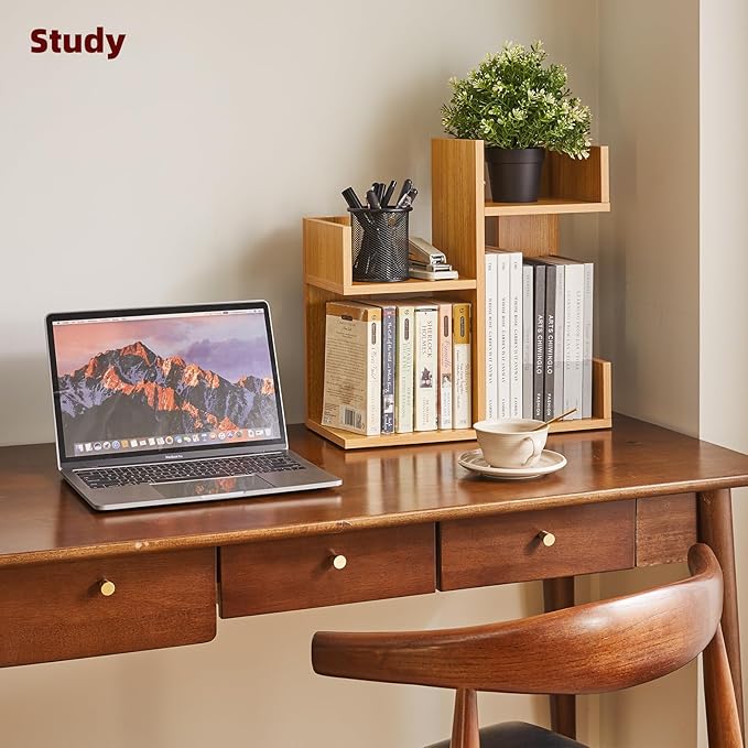 Short Bookshelf Small Desk Organizer, Cactus Bookshelf Unique Bookcase, Book Display Shelf Small Plant Stand for Tabletop, Natural Wood Color YD-DSR002N