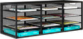 PAG Desktop Mail Sorter, Industrial Countertop Heavy Duty Literature Organizer, Student Mailbox for Classroom, Bill Paper Holder Rack for Office Home School, 12 Compartments, Black
