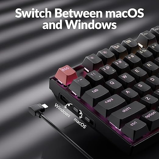 Keychron K8 Version 2 TKL Custom Wireless Mechanical Keyboard, QMK Programmable Bluetooth 5.2/Wired, RGB Backlit with Shine-Through PBT Keycaps, Super Red Switch for Mac Windows Linux