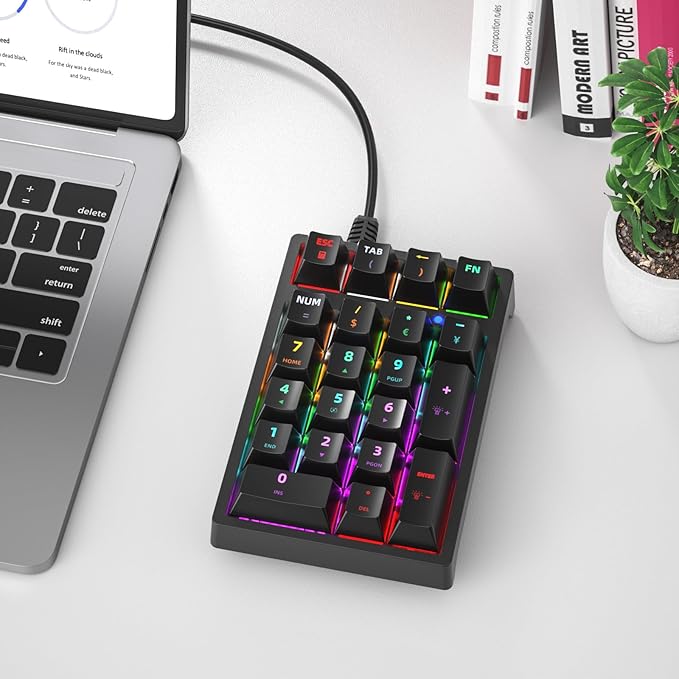 Gurjot Number Pad, Mechanical USB Wired Numeric Keypad with Color Backlit 21 Key Numpad for Laptop Desktop Computer PC Black (Blue Switches)