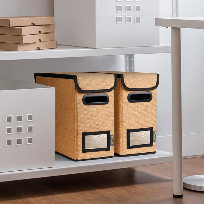 BALEINE File Organizer Box with Lid, Collapsible File Folder Organizer with Plastic Slide, Hanging File Folder Box for Office Document Storage (1 Pack, Orange, S)