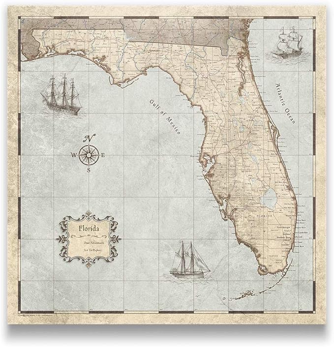 Push Pin Florida Map Board - With Push Pins to Mark Florida Travel - Handmade in Ohio, USA - Design: Rustic Vintage