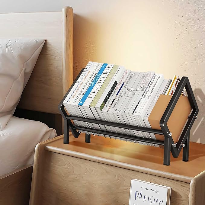 Stainless Steel Tabletop Bookshelf Desk Book Organizer for Book Lover and Record Holder, Desktop Storage Book Rack for Magazine/CDs/Books Display, Small Desktop Bookcase in Office/Home /Living Room