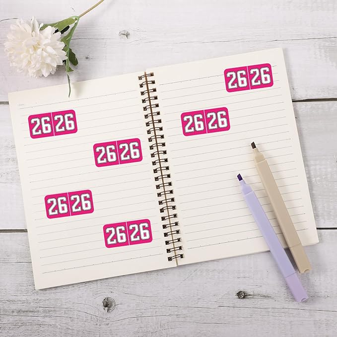 1000pcs 2026 Year Stickers, 3/4x1-1/2 Inch 26 Year Colored Self-Adhesive Stickers File Folder Labels Decals for Tab File Folders Office Supplies (Rose Red)