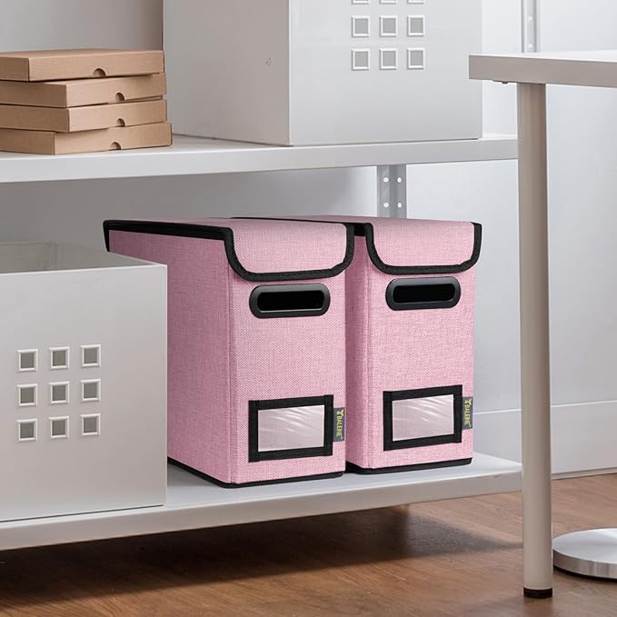 BALEINE File Organizer Box with Lid, Collapsible File Folder Organizer with Plastic Slide, Hanging File Folder Box for Office Document Storage (2 Pack, Pink, S)