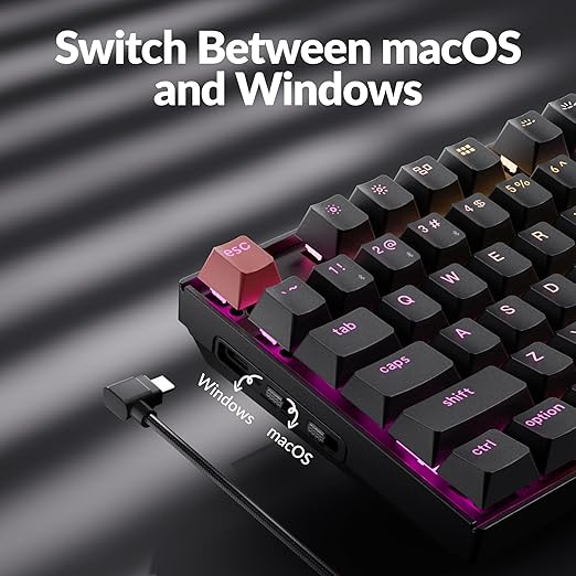 Keychron K8 Version 2 TKL Custom Wireless Mechanical Keyboard, QMK Programmable Bluetooth 5.2/Wired, RGB Backlit with Shine-Through PBT Keycaps, Super Banana Switch for Mac Windows Linux
