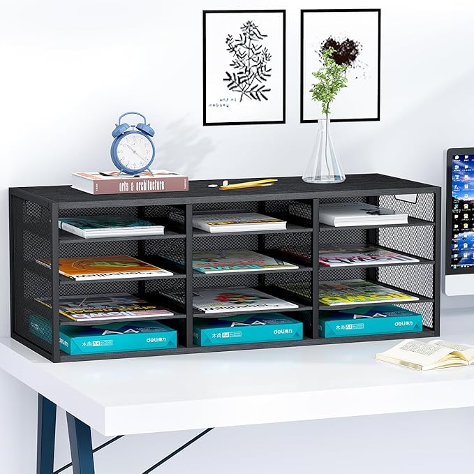 PAG Desktop Mail Sorter, Industrial Countertop Heavy Duty Literature Organizer, Student Mailbox for Classroom, Bill Paper Holder Rack for Office Home School, 12 Compartments, Black
