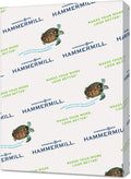 Hammermill Colored Paper, 20 lb Gray Printer Paper, 11 x 17-1 Ream (500 Sheets) - Made in the USA, Pastel Paper, 102178R