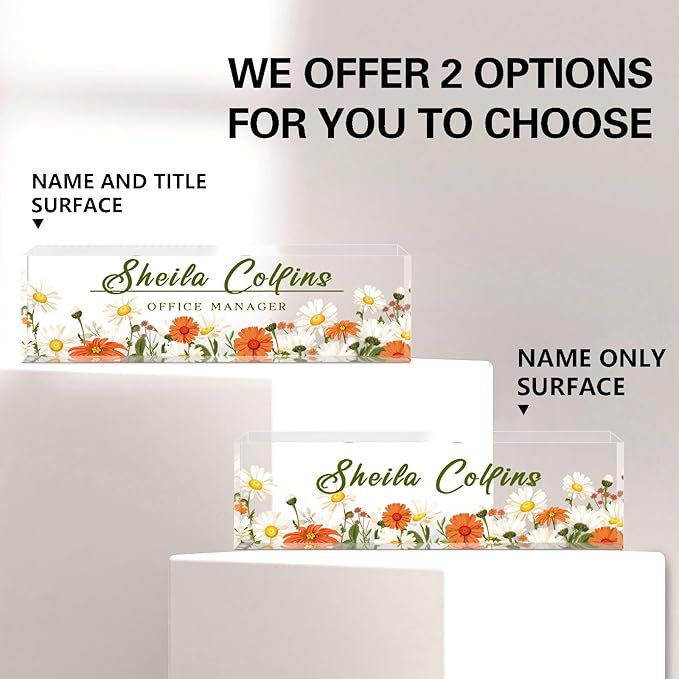 Personalized Custom Name Plate for Desk and Office, Acrylic Employee Appreciation Gift, Funny Office Decor by Daisy