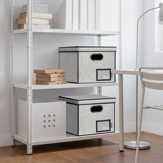 BALEINE File Organizer Box with Lid, Collapsible File Folder Organizer with Plastic Slide, Hanging File Folder Box for Office Document Storage (Tab Friendly, 1 Pack, Beige)