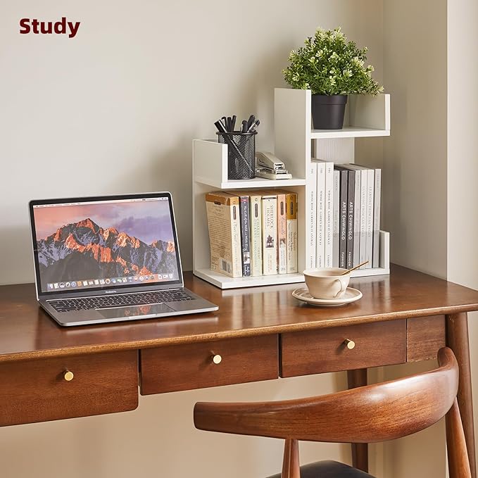 Small White Desk Organizer, 2 Tier Tree Cactus Bookshelf, Desktop Organizer Wood, Small Plant Shelf White YD-DSR002W