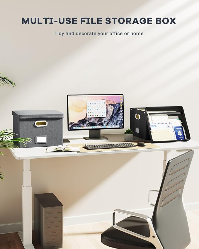 2 Pack File Organizer Box with Lid, Large Hanging Filing Box with Mesh Pocket, Document Organizer for Letter Files, Portable Storage Case for Office&Home (Black)