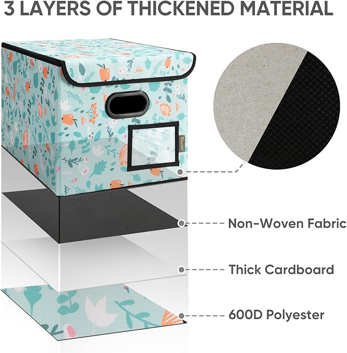 BALEINE File Organizer Box with Lid, Collapsible File Folder Organizer with Plastic Slide, Hanging File Folder Box for Office Document Storage (1 Pack, Spring Stroll)