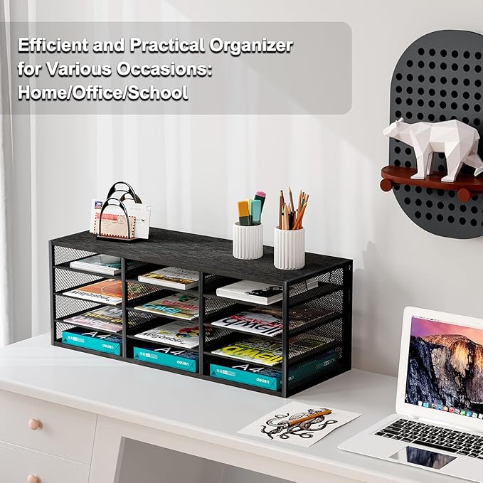 PAG Desktop Mail Sorter, Industrial Countertop Heavy Duty Literature Organizer, Student Mailbox for Classroom, Bill Paper Holder Rack for Office Home School, 12 Compartments, Black