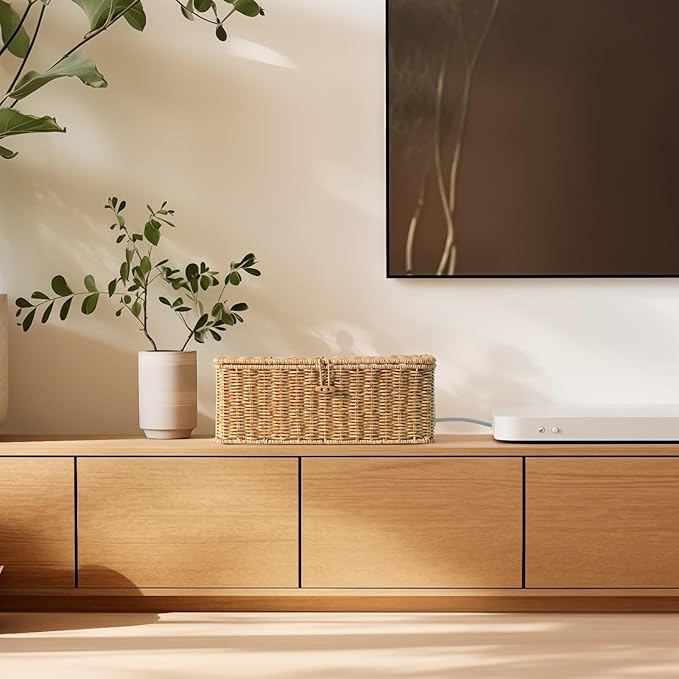 BROWNLILY Cable Management Box, Rattan Style Cord Organizer for Desk Cord Hider Outlet Covers Baby Proofing for Power Strip TV PC Router Charger Under Desk Storage - Natural Small