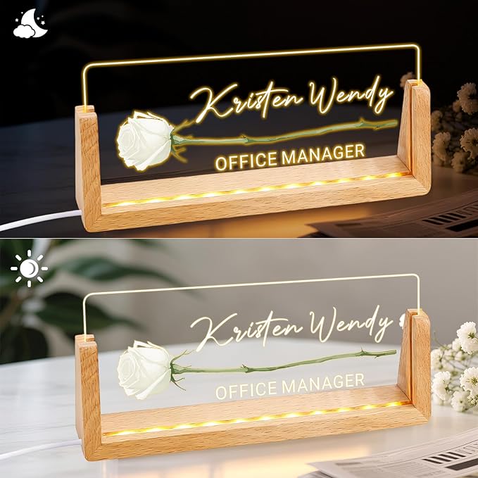 Ships Next Day, Custom Name Plate for Desk - Business Light Up Acrylic Desk Name Plate Personalized Elegant Office Gift for Boss Coworker Teacher Employee Appreciation Gift, Office Decor for Women Men