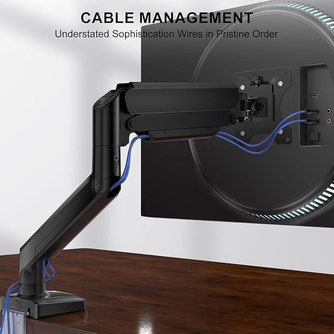 WALI Single Monitor Mount, Gas Spring Monitor Arm for 17-34 inch Screens, Adjustable Computer Monitors Stand up to 26.4lbs, with Clamp and Grommet Base, Mounting Holes 75 and 100mm (GSMP001N), Black
