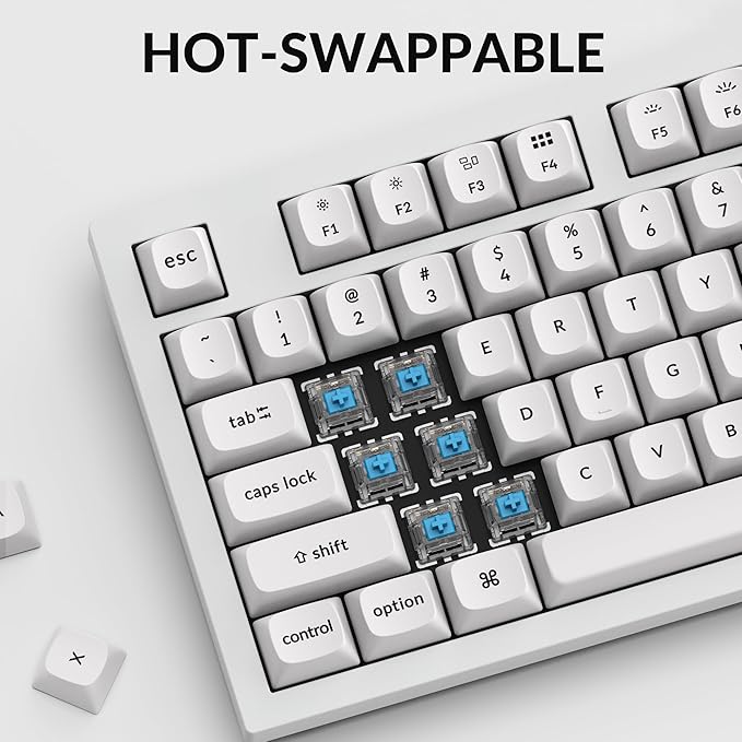 Keychron Q3 Wired Custom Mechanical Keyboard, 80% TKL Layout QMK/VIA Programmable with Hot-swappable Gateron G Pro Blue Switch Double Gasket Compatible with Mac Windows Linux (White)