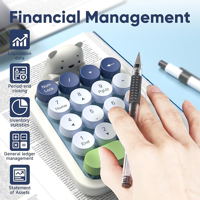 MOFII Wireless Number Pad with Bear - Mixed Blue Numeric Keypad 18 Keys 2.4G Round Keycap Colorful Extensions Cute Numpad, Portable Accounting Financial Retro Numpad 10 Key for Laptop/PC/Notebook