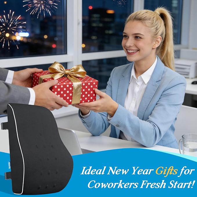 Lumbar Support Pillow for Office Chair, Office Home Essentials,Stocking Stuffers,Back Support Pillow for Car, Chair Cushions,Back Pain Relief Improve Posture,Mesh Cover Double Adjustable Straps