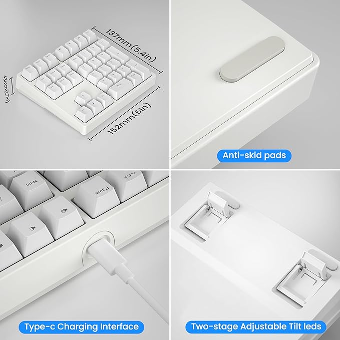 Gurjot Number Pad，Mechanical USB Wired Numeric Keypad with RGB LED Backlit,34 Keys Numpad Keyboard with PBT Keycaps Blue Switches for Windows/Mac Laptop,Computer,Desktop,PC,Notebook (White)