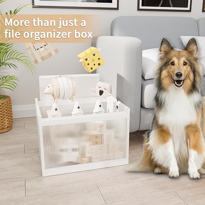 White Bamboo Acrylic File Box with Hanging Folders, Letter/Legal Size, Dustproof, Home Office File Organizer