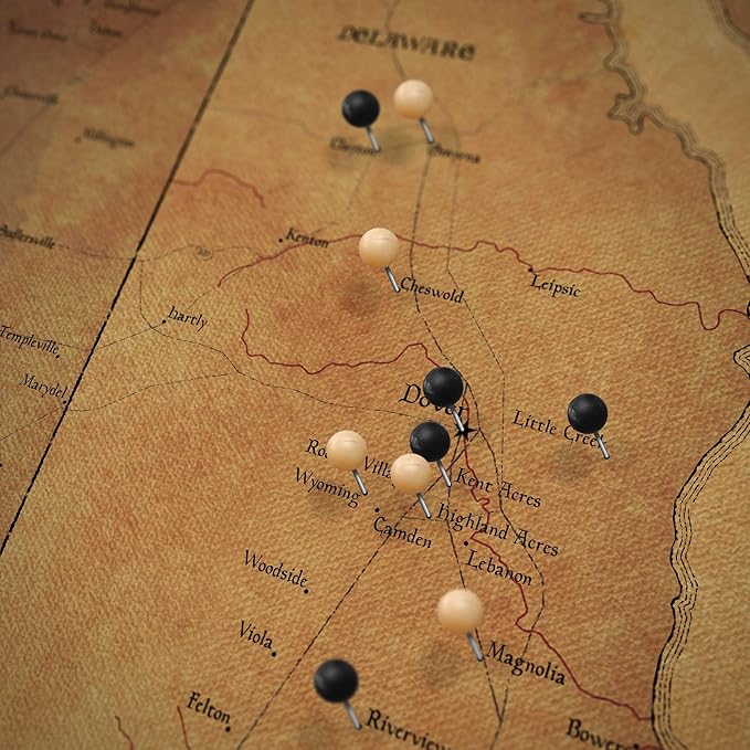 Conquest Maps Push Pin Delaware Map Board - With Push Pins to Mark Delaware Travels - Handmade in Ohio, USA - Design: Golden Aged