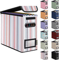 BALEINE File Organizer Box with Lid, Collapsible File Folder Organizer with Plastic Slide, Hanging File Folder Box for Office Document Storage (1 Pack, Color Stripe, S)