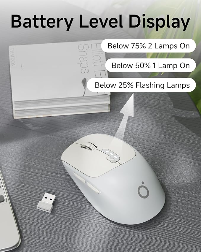 EWEADN Q5 Wireless Mouse, Bluetooth & 2.4G Quiet Computer Mouses with 1600 DPI, Battery Level Display, Ergonomic Office Mouse,6 Button Portable Cute Cordless Mice for Laptop/PC/Mac- Grey