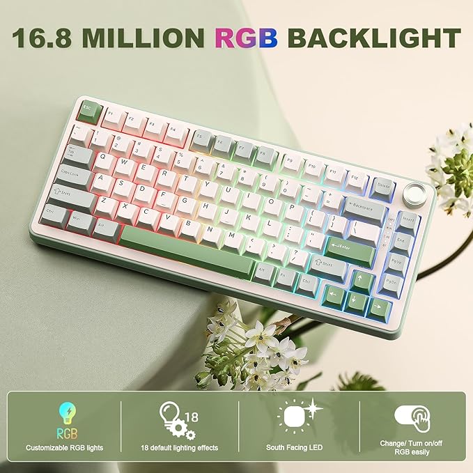 YUNZII B75 PRO Wireless Mechanical Keyboard,75% Layout with Knob,Hot Swap Gasket Structure,Creamy Pre-lubed Switches,RGB Backlit,Bluetooth/Type-C/2.4G for Win/Mac (Matcha Green, Milk Switch)