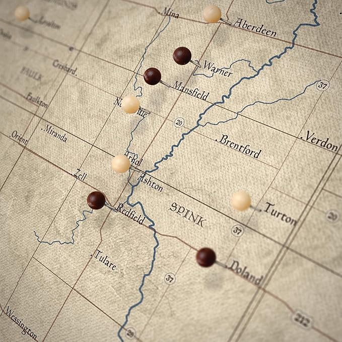 Conquest Maps Push Pin South Dakota Map Board - With Push Pins to Mark South Dakota Travels - Handmade in Ohio, USA - Design: Rustic Vintage