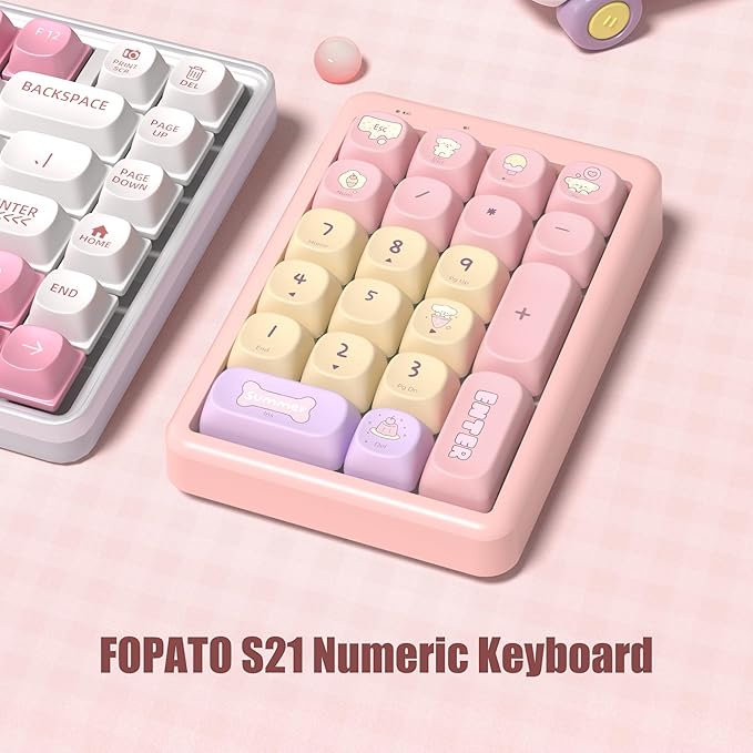 NumberPad,21Keys HotSwappable Numpad,Bluetooth5.0/2.4G/Type-C Wireless Numeric Keypad,Rechargeable Number keypad,RGB Gasket Structure Mechanical Keyboard with PBT Keycap for PC Laptop Notebook