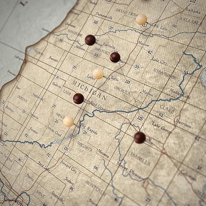 Push Pin Michigan Map Board - With Push Pins to Mark Michigan Travel - Handmade in Ohio, USA - Design: Rustic Vintage