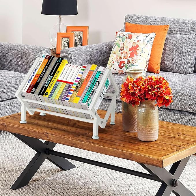 ENCIMART Tabletop Bookshelf Organizer, Adjustable Desk Shelf for Top of Desk in Living Room, Home, Office, Stainless Steel Tilting Bookcase Desktop Storage Book Rack for Magazine/CDs/Books Display