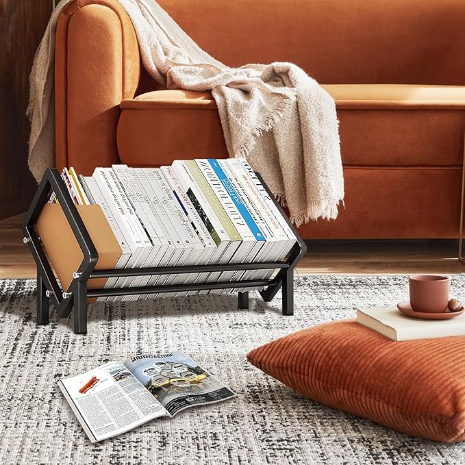 Stainless Steel Tabletop Bookshelf Desk Book Organizer for Book Lover and Record Holder, Desktop Storage Book Rack for Magazine/CDs/Books Display, Small Desktop Bookcase in Office/Home /Living Room