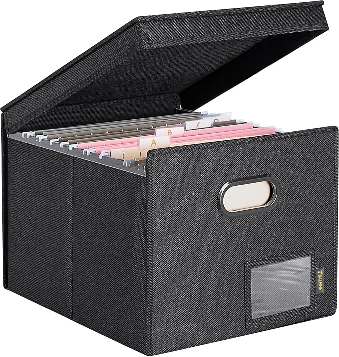 BALEINE File Organizer Box with Lid, Collapsible File Folder Organizer with Plastic Slide, Hanging File Folder Box for Office Document Storage (Tab Friendly, 1 Pack, Black)