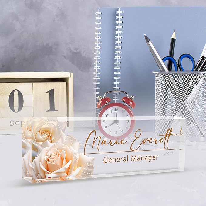 Custom Name Plate for Desk | Personalized Desk Name Plate | Personalized Boss Employee Appreciation Gifts | Acrylic Name Plate Office Desk Accessories