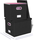 2 Pack File Storage Organizer, Filing Box, Portable File Box with Lid, Fit for Letter/Legal File Folder Storage, Document Organizer, Black