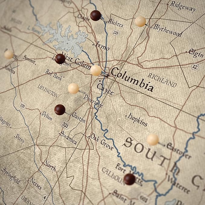 Conquest Maps Push Pin South Carolina Map Board - With Push Pins to Mark South Carolina Travels - Handmade in Ohio, USA - Design: Rustic Vintage