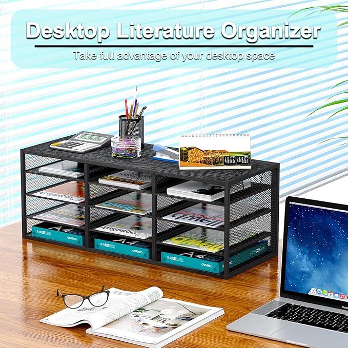 PAG Desktop Mail Sorter, Industrial Countertop Heavy Duty Literature Organizer, Student Mailbox for Classroom, Bill Paper Holder Rack for Office Home School, 12 Compartments, Black