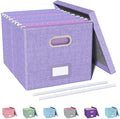 Oterri File Organizer, File Box, File Cabinet for Letter File Folder Storage, Hanging File Organizer for Office/Decor/Home,Document Organizer, 1 Pack, Lavender-Box Only