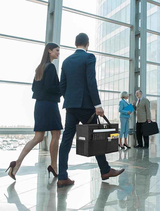 Qozary 2 Pack File Folder Organizer Box-Hanging File Tote Bag With Lids, Collapsible Portable Filing Organizer Box With Handle, Document Storage Bag For Office,Home,Travel, School