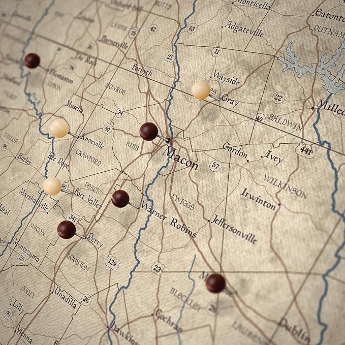 Push Pin Georgia Map Board - With Push Pins to Mark Georgia Travel - Handmade in Ohio, USA - Design: Rustic Vintage