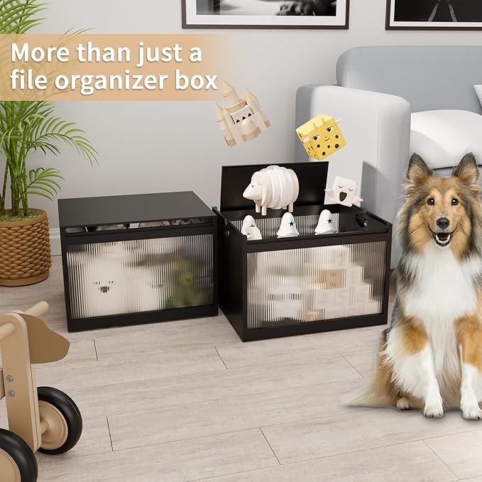 Bamboo Hanging File Boxes with Lids 2 Pack, File Organizer Box for Letter/Legal File, File Box with Hanging Folders Acrylic Light Easy Assembly File Storage Boxes for Home Office, Black