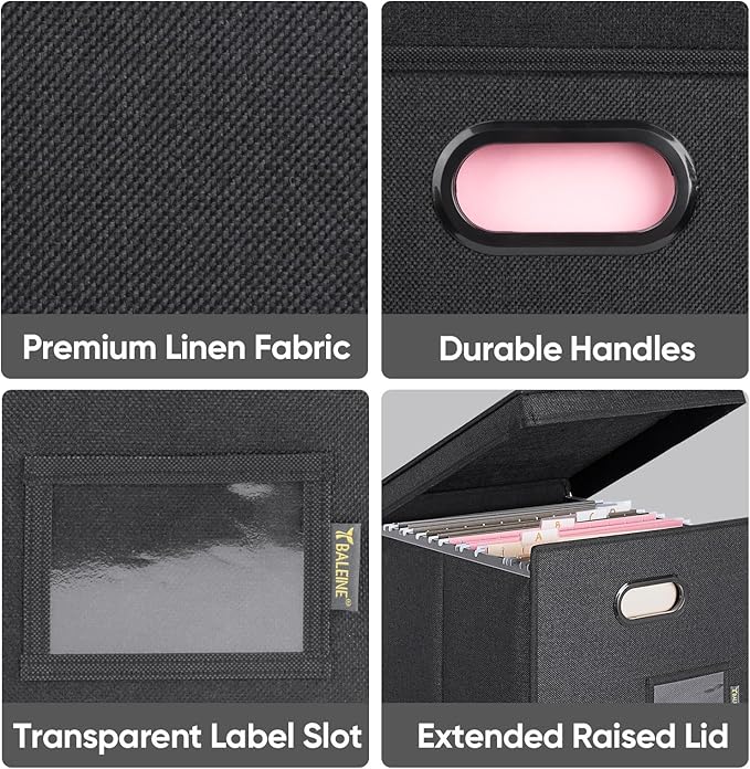 BALEINE File Organizer Box with Lid, Collapsible File Folder Organizer with Plastic Slide, Hanging File Folder Box for Office Document Storage (Tab Friendly, 1 Pack, Black)