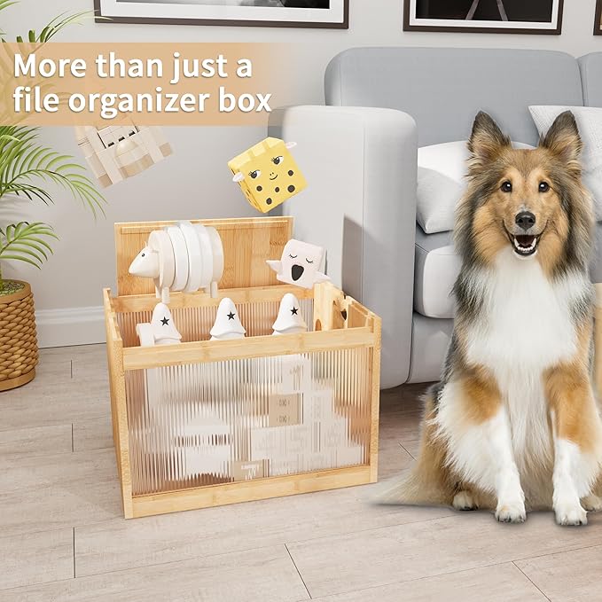 Natural Bamboo & Acrylic File Box with Removable Lid, Modern File Organizer Box for Letter/Legal Files, Hanging File Box with Easy Assembly & Dustproof Storage for Home Office