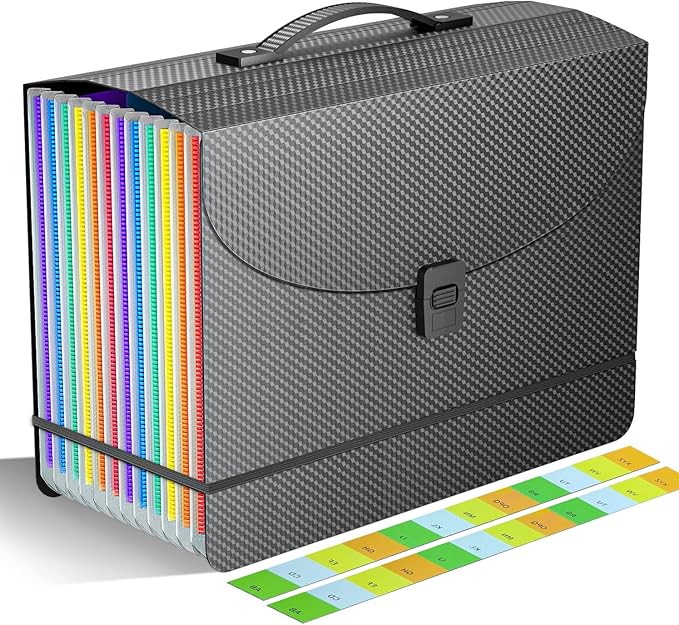 Accordion File Organizer/Expanding File Folder with Handle,13 Pockets Filing Box,Perfect for Desktop Standing/Portabe Document Paper Organizer,A4/Letter Size,Monthly/Blank Tabs,Black Diamond