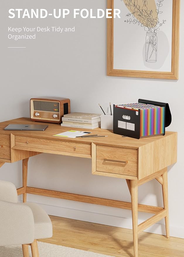 ABC life 26 Pockets Expanding File Folder, Letter A4 Accordion File Organizer, 3 Tab File Folder, Portable Monthly Paper Bill Tax Receipt Organizer with Colorful A-Z Alphabetical Tabs - Black