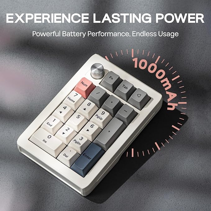 EPOMAKER EK21 VIA Gasket Number Pad with 1000mAh Battery, BT 5.0/2.4GHz/Wired Hot-Swap Numpad with Aluminum Alloy knob, Programmable for Win/Mac/Gaming (Retro White, Wisteria V2 Switch)